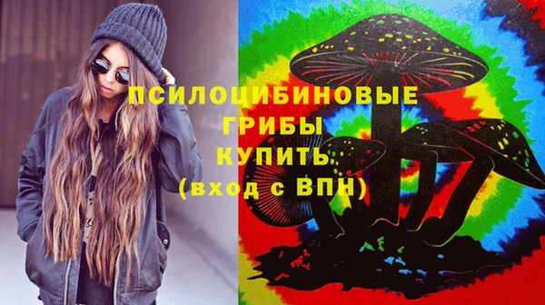 эйфоретик Арсеньев