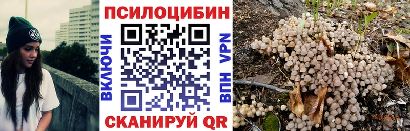 Псилоцибиновые грибы GOLDEN TEACHER hydra ТОР Покачи